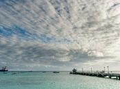 Beauty Barbados Topography