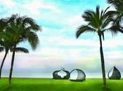 Used Become Celebrity Sofitel Philippine Plaza Manila Hotel.