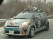 Day: Just Ordinary Hitchhiking Zombie