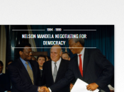 Digital Media: Mandela Will Live Forever