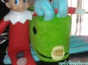 Rascal Finds Friend Learn More About Silly Creatures