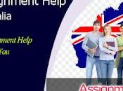 Assignment Help College University Students From Writers.