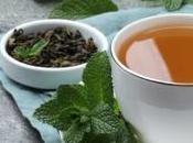 Herbal Remedies: Relieve Bloating with These Powerful Infusions