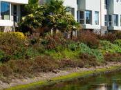 Unlock Potential Your Angeles Rental with Top-rated Residential Property Manager