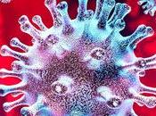 More COVID Deaths Reported