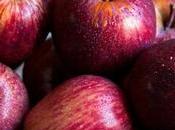 Monsoon Weight Loss: Fruits That Shedding Pounds