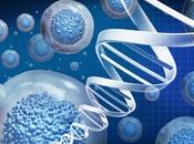 Regenerative Medicine Market Research: Insights Into Segmentation Competitive Landscape