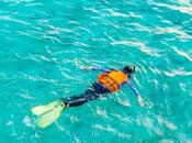 Turks Caicos Snorkeling (2023 Guide)