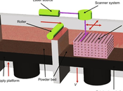 Selective Laser Sintering: Need Know