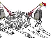 Picking Bones