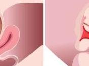 Virgin Tightening Surgery Before After Pictures In-Depth Overview