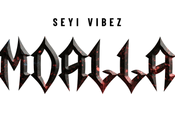 LYRICS: Seyi Vibez Amdallah