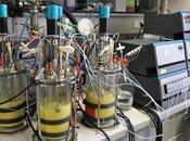 Unlocking Potential Small Scale Bioreactors Market: Market Trends Emerging Technologies