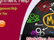Marketing Assignment Help Assistance College Students