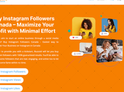 Website Instagram Followers (Real Active)