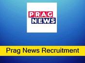 Prag News Recruitment 2023 Sales Manager Vacancy