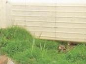 Dead, Injured Overturns Pitipana