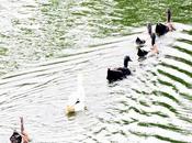 Following Chosen Path பாதை மாறிப் போகும் போது..