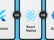 Comparison Between Frameworks Flutter, React Native, Xamarin