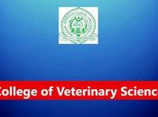 College Veterinary Science Guwahati Recruitment 2023 Posts