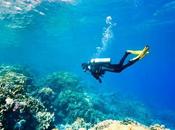 Bahamas Adventure Travel: Scuba Diving, Fishing, More