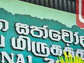 Anniversary Zoo: Free Entrance Children