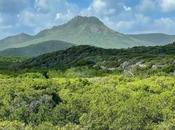 Curaçao National Parks Reserves (2023 Guide)