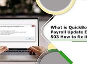 What QuickBooks Payroll Update Error