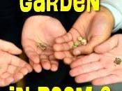 Review PLANTING GARDEN ROOM Bayviews