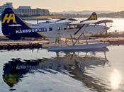 deHavilland Canada DHC-3T Turbo Otter, Harbour