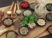 Herbal Medicinal Products Market: Harnessing Power Nature Health Wellness