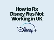 Disney Plus Working