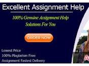 Assignment Help Perth Writing Lowest Price