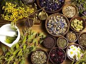 Herbal Medicinal Products Market: Current Landscape Growth Analysis