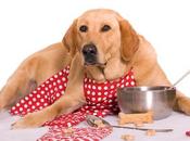 Animal Nutrition Market: Overview Growth Players