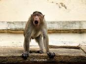 Life Lessons Social Media Addiction