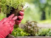 Sustainable Home Improvement Ideas Greener Lifestyle