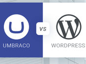 Umbraco WordPress CMS: Which Right Your Website?