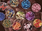 Unlocking Potential Human Microbiome Market