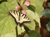 Moments Grace World Gone