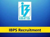 IBPS Specialist Officer Recruitment 2023 1402 Posts (CRP SPL-XIII)