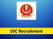 Stenographer Recruitment 2023 1207 Grade Posts