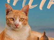 Cats Malta Release News