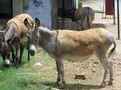 Some Interesting Marriages Matches Made Heaven