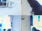 Stars: This Brother” Moment Fled From Camera Mistakenly Exposes Himself During Show [Video]