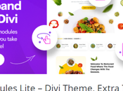 Divi Addons Don’t Want Miss 2023