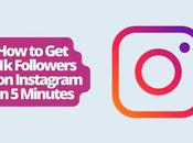 Followers Instagram Minutes