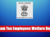 Assam Employees Welfare Board Recruitment Posts