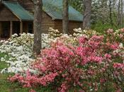 Here’s Smokies Make Dream Vacation Spot