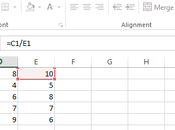 Divide Excel?